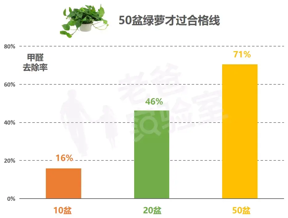 绿萝除醛，到底靠不靠谱？(图5)