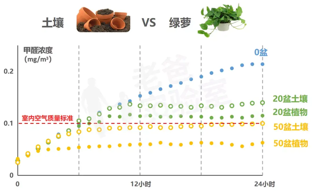 绿萝除醛，到底靠不靠谱？(图9)